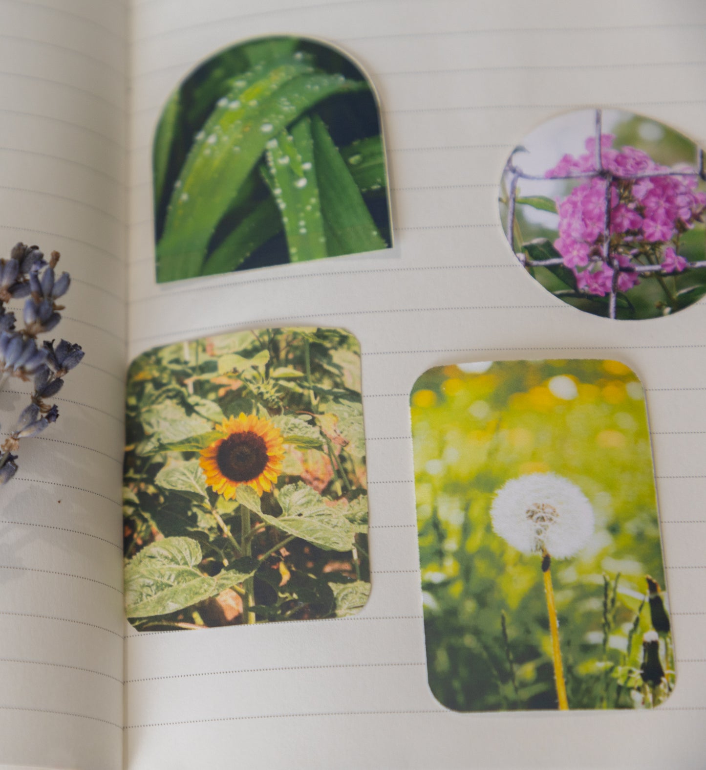 Sunflower Sticker