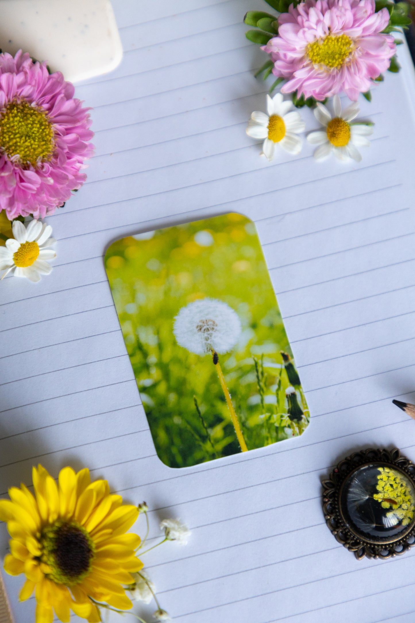 Dandelion Sticker