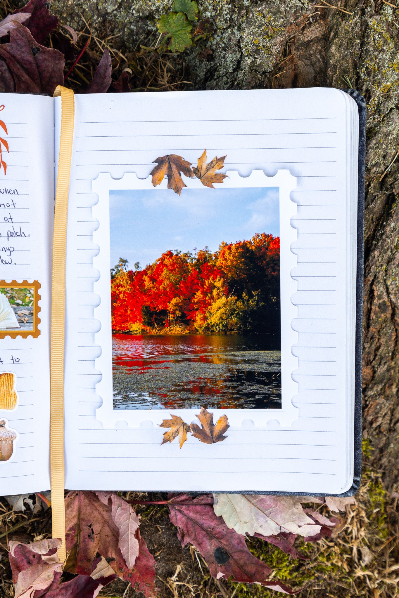 Perfect Autumn Day Print