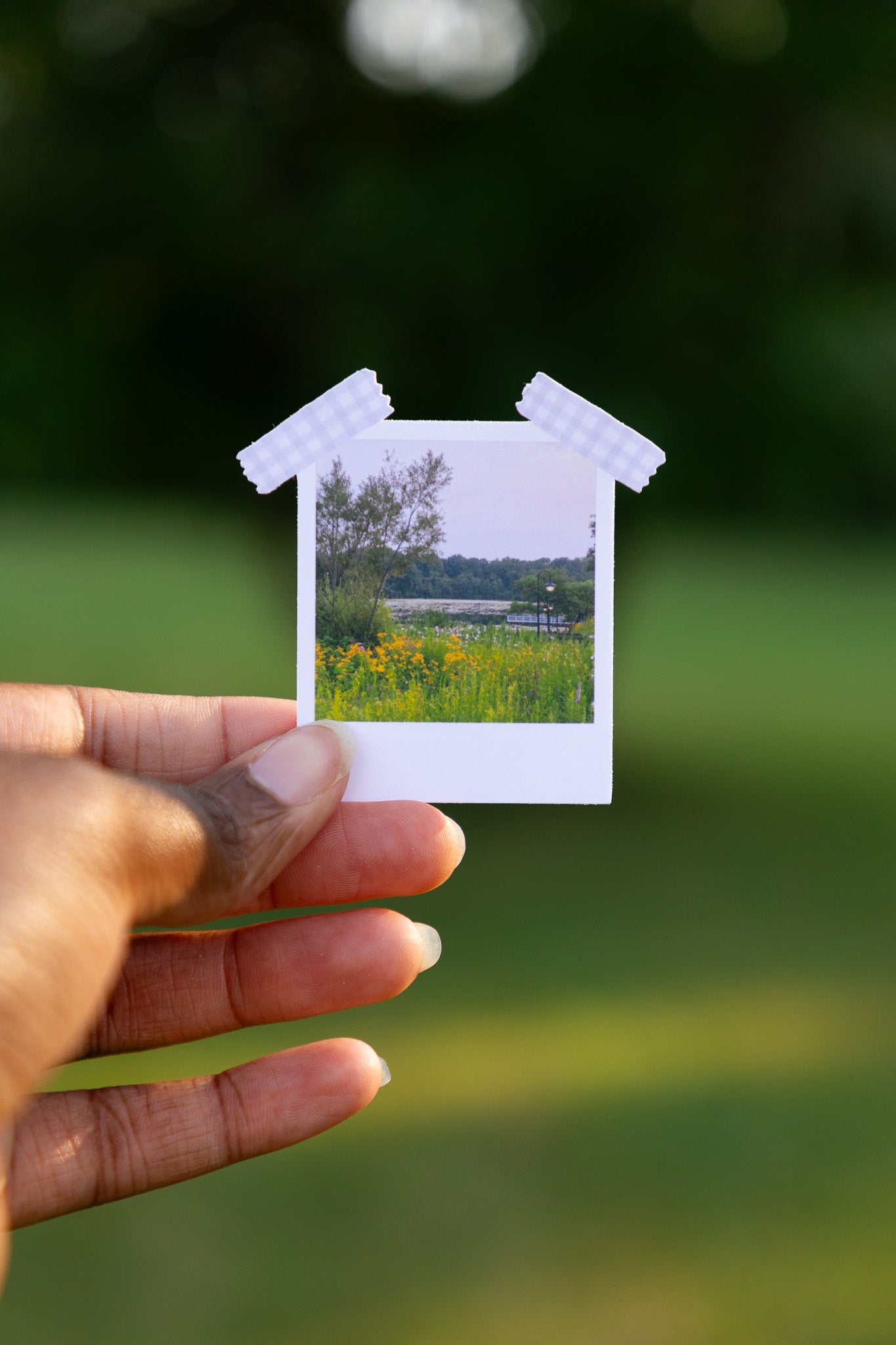 Idyllic Evening Polaroid Sticker
