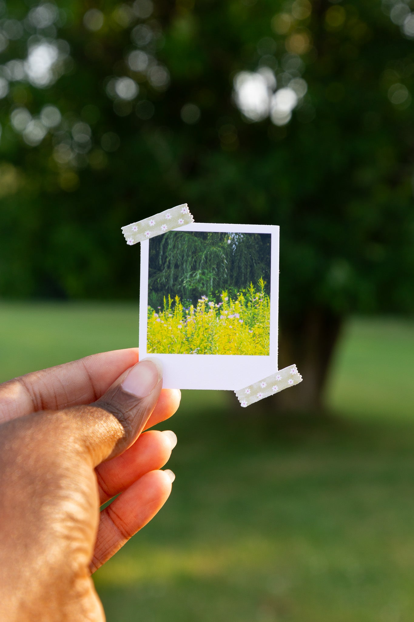 Mother Nature Polaroid Sticker