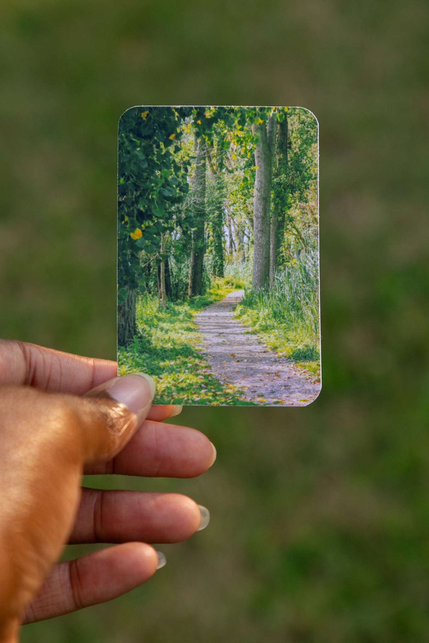 Enchanted Trail Sticker