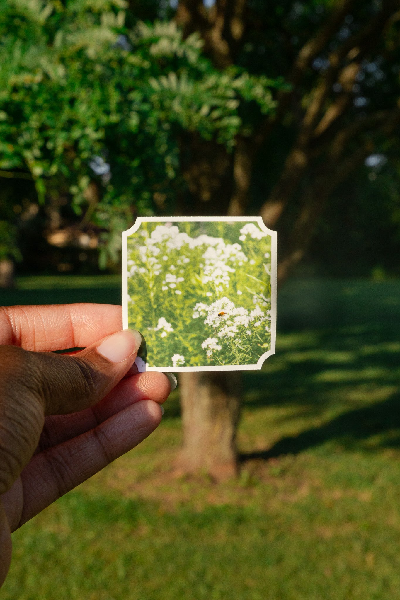 Wildflowers Sticker