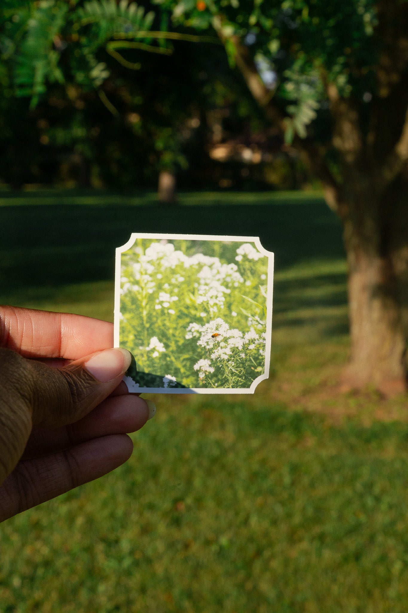 Wildflowers Sticker