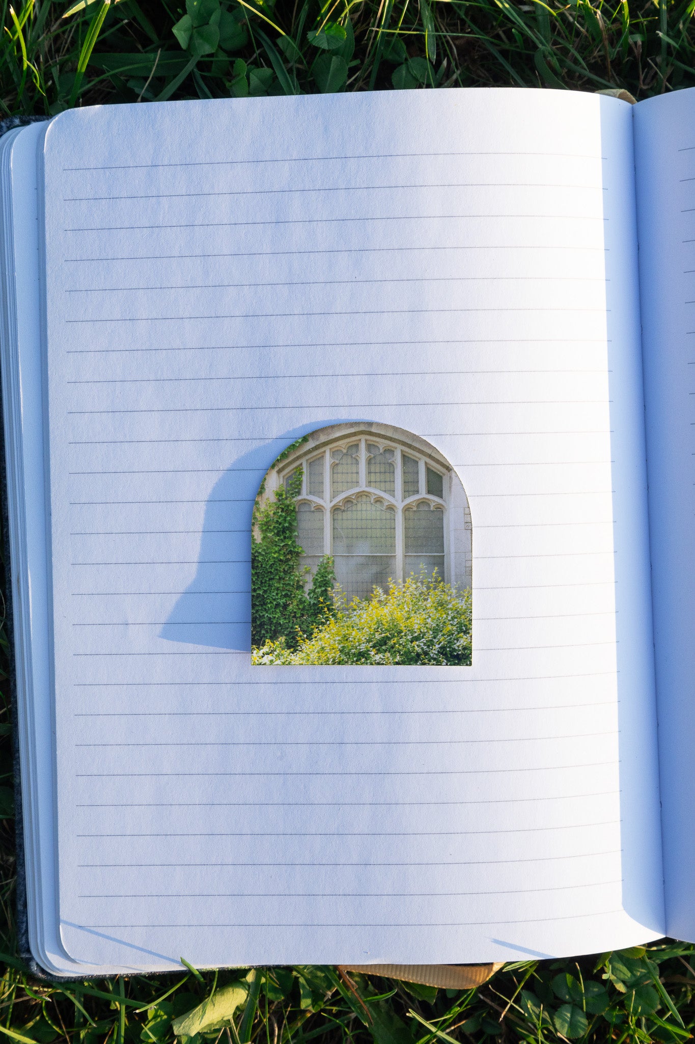 Dreamy Window Sticker