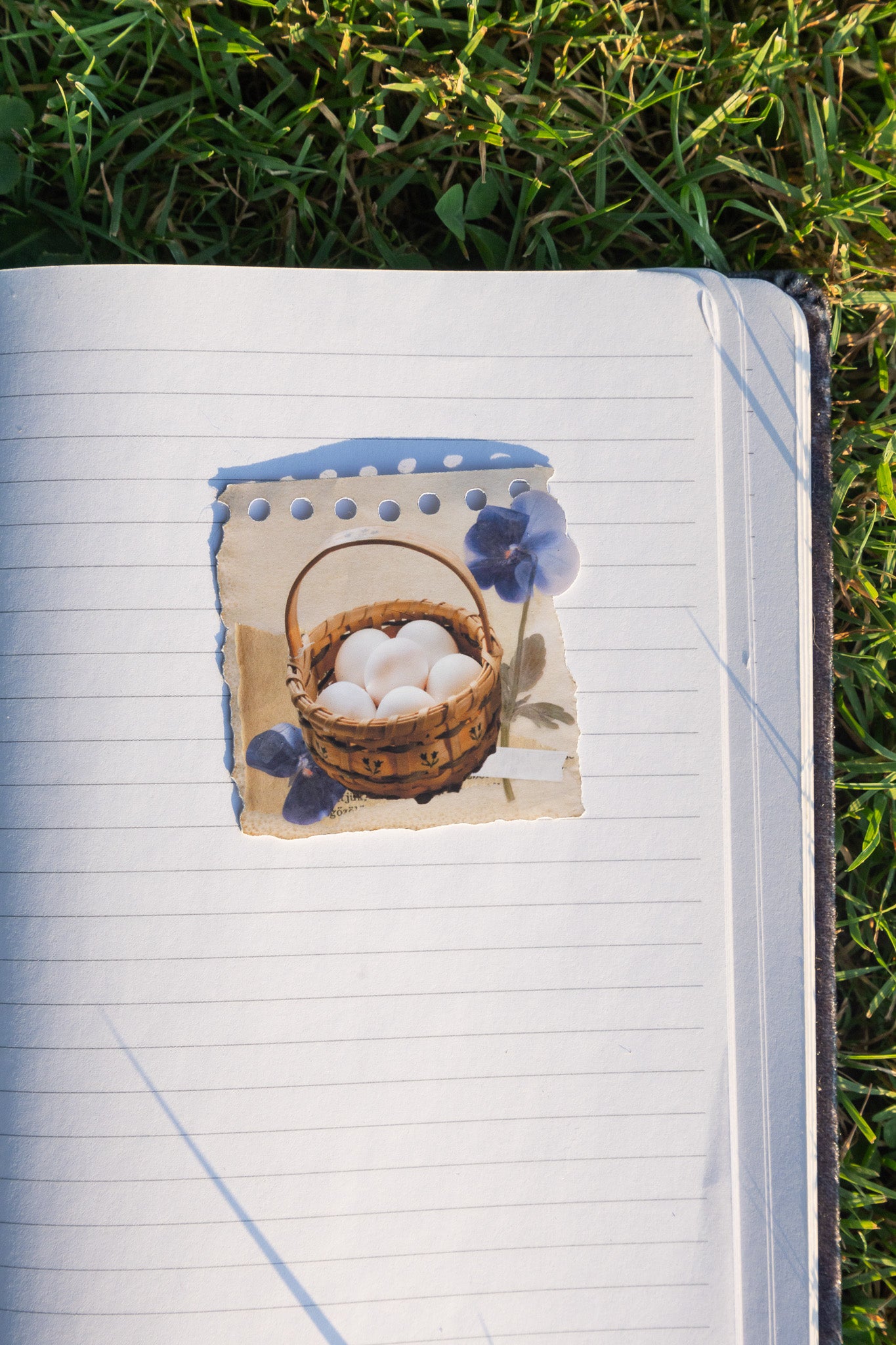 Scrapbook Eggs Sticker