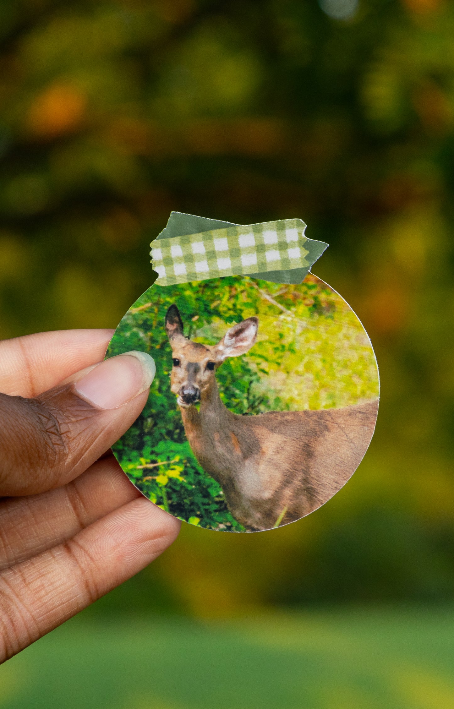 Hungry Deer Sticker