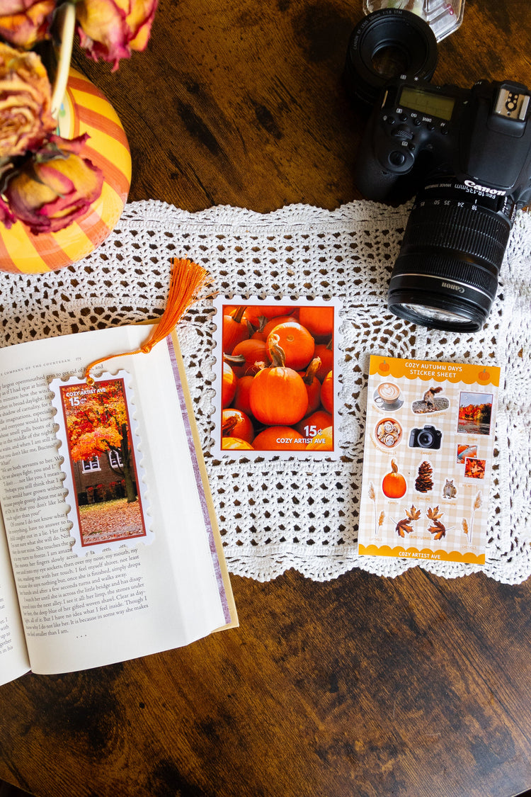 Cozy Fall Collection 🍂