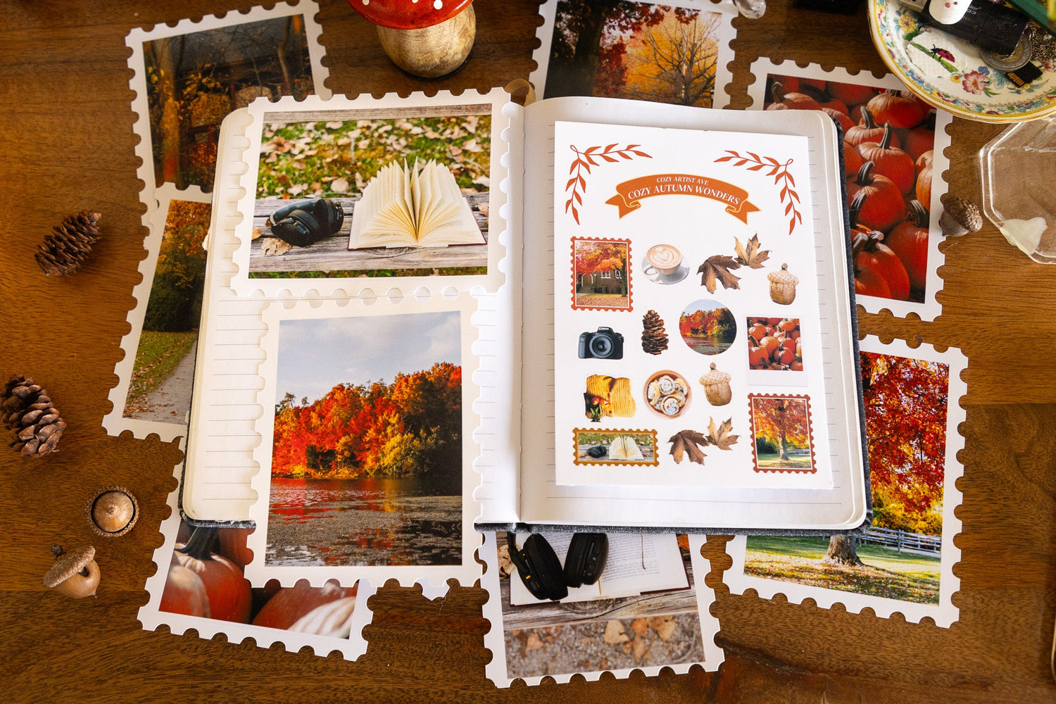 New Fall Arrivals ☕🍂🧺