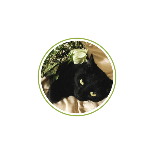 Gentle Max Sticker