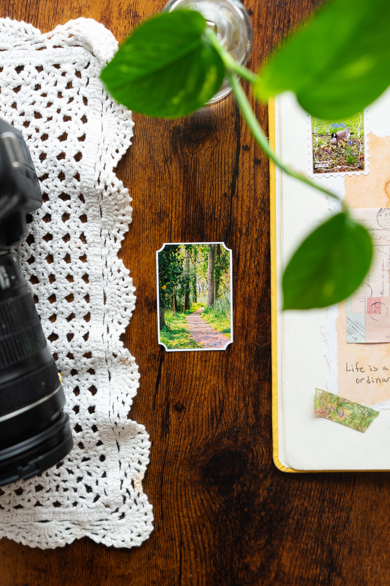 Enchanted Woodlands Sticker
