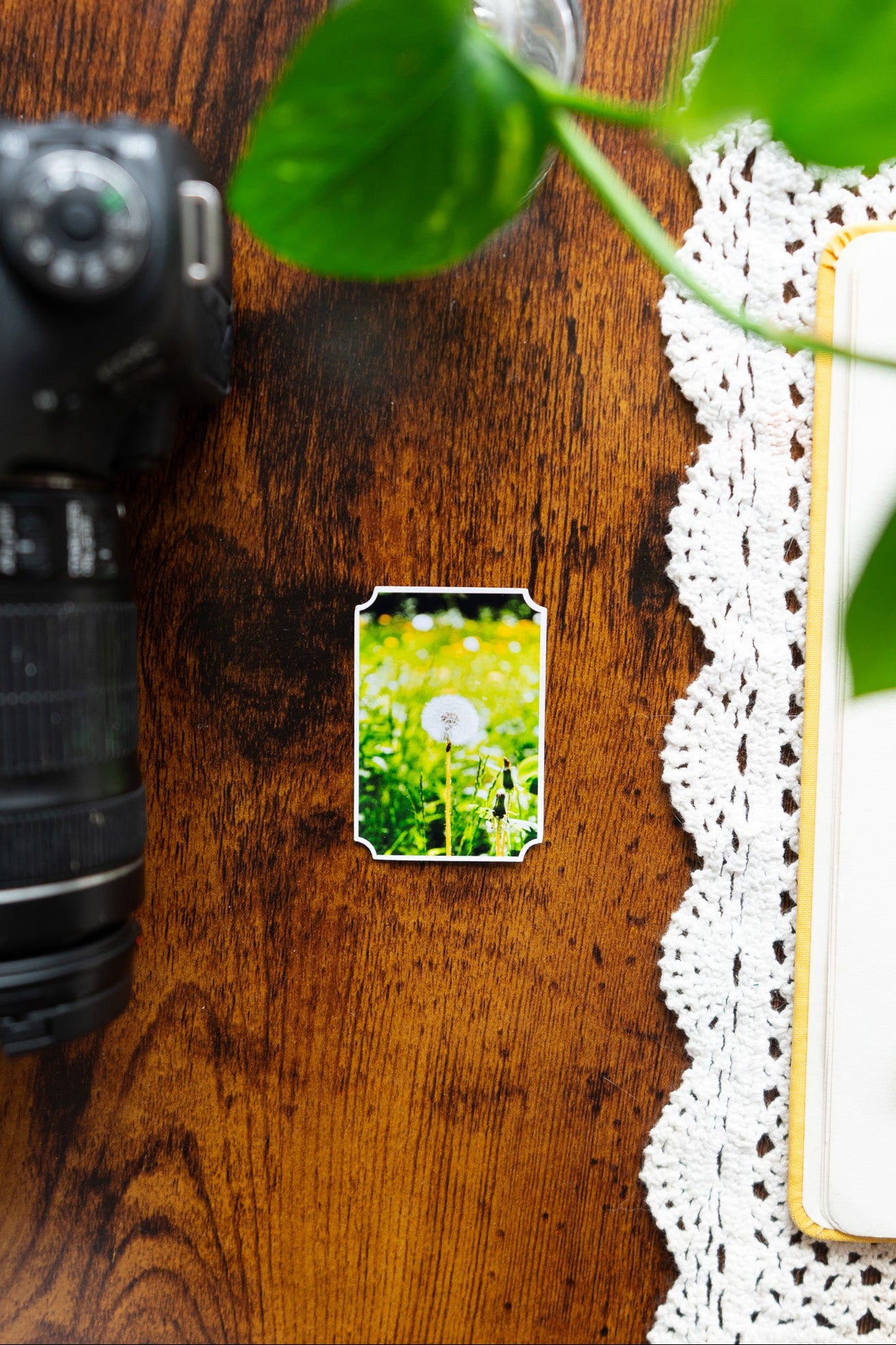 Dreamy Dandelion Sticker