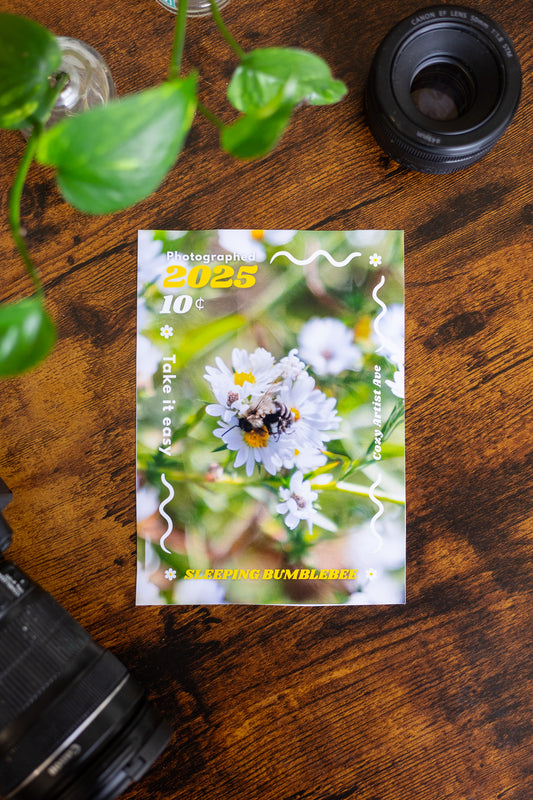 Sleepy Bumblebee Print