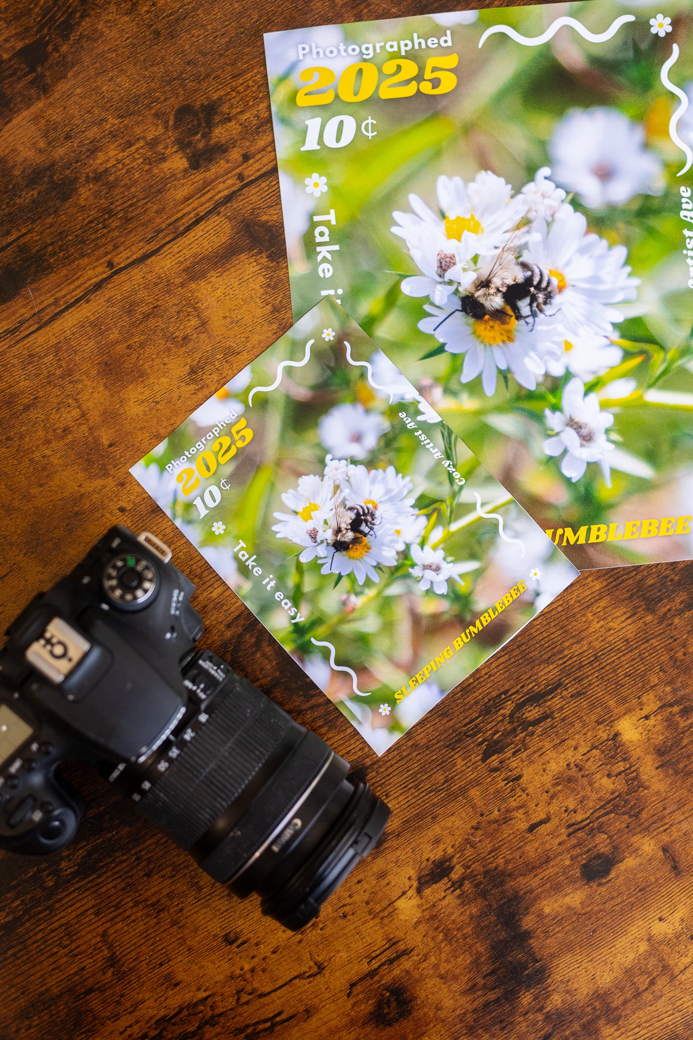 Sleepy Bumblebee Print