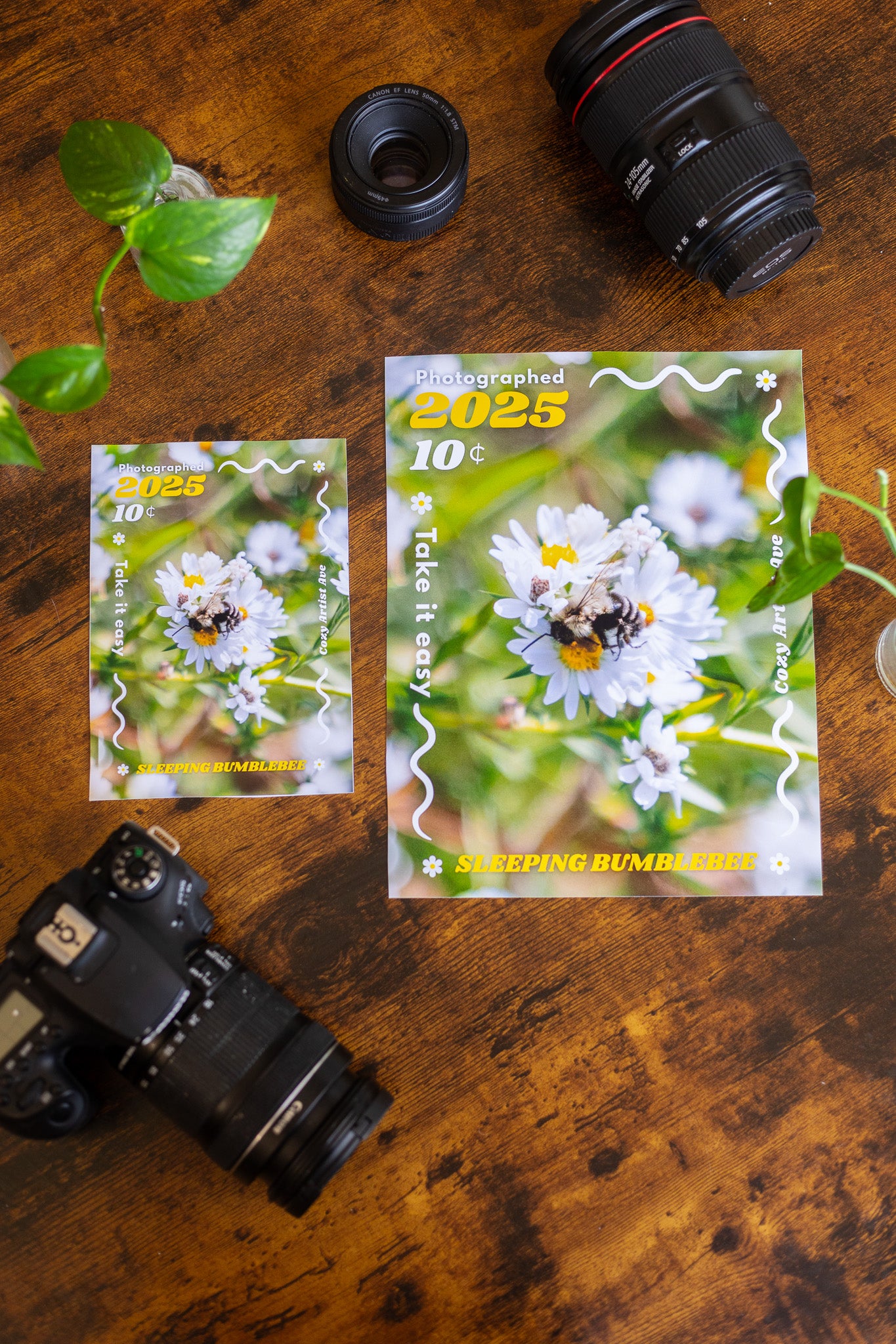 Sleepy Bumblebee Print