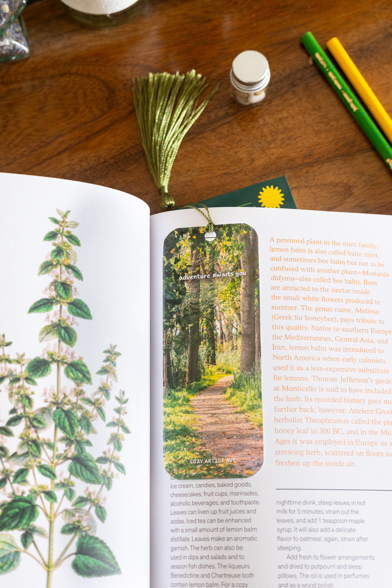 Enchanted Bookmark