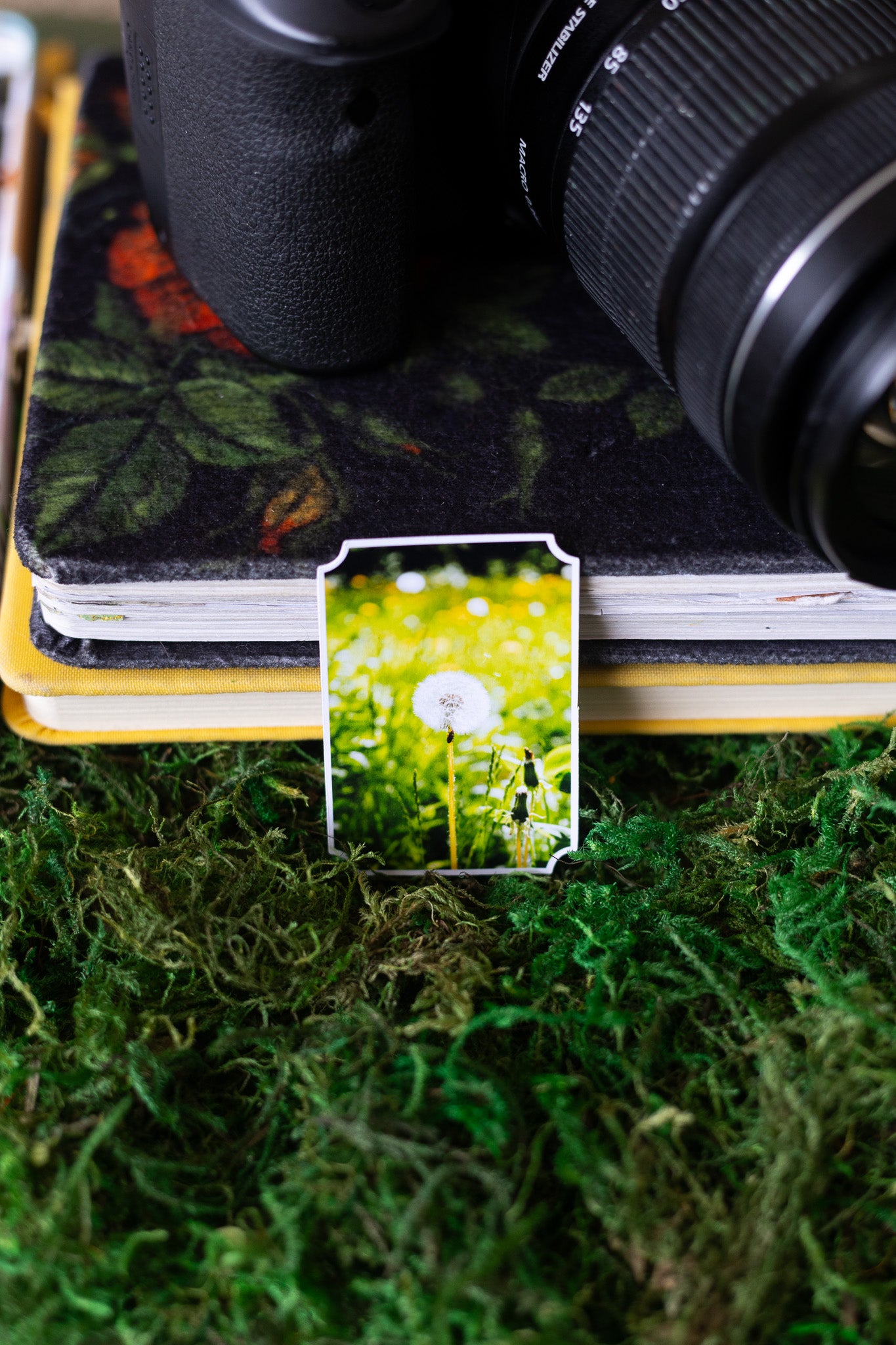 Dreamy Dandelion Sticker