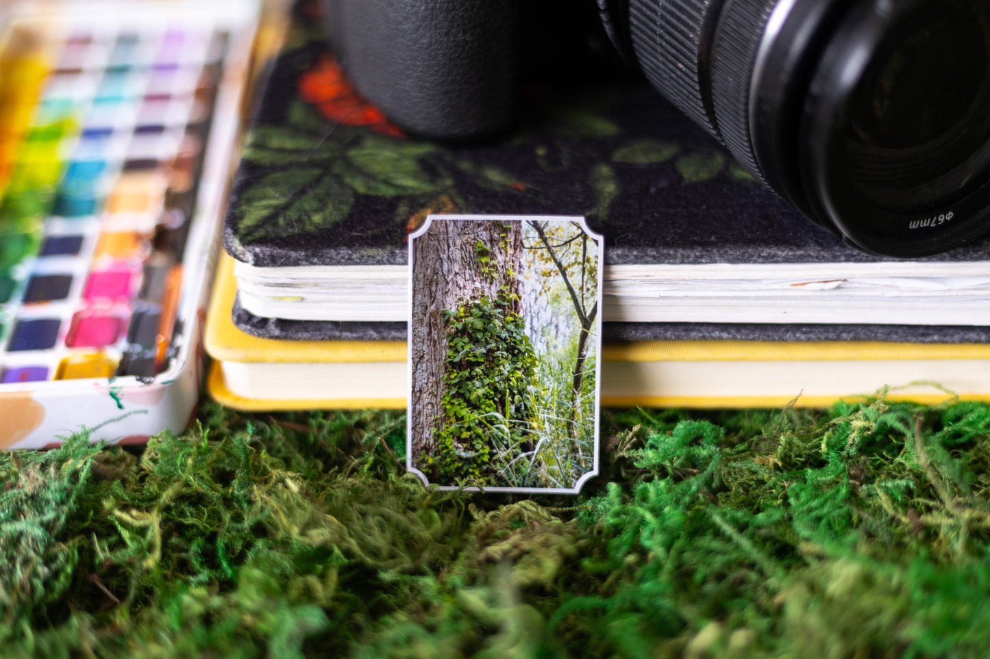 Woodland Ivy Sticker
