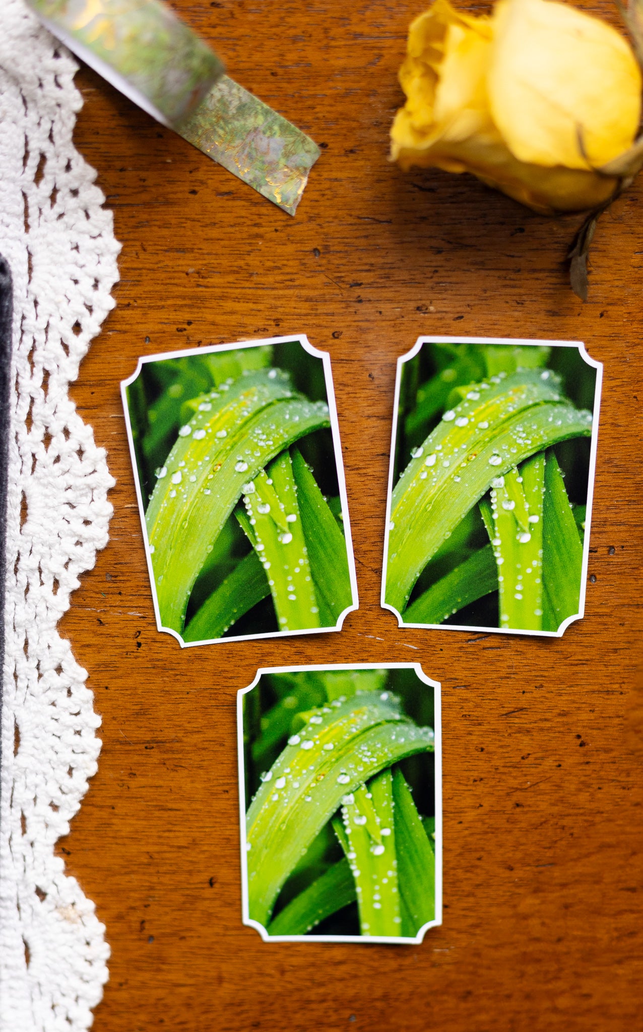 Morning Dew Sticker