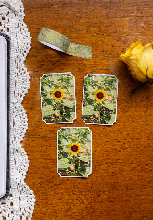 Golden Sunflower Sticker