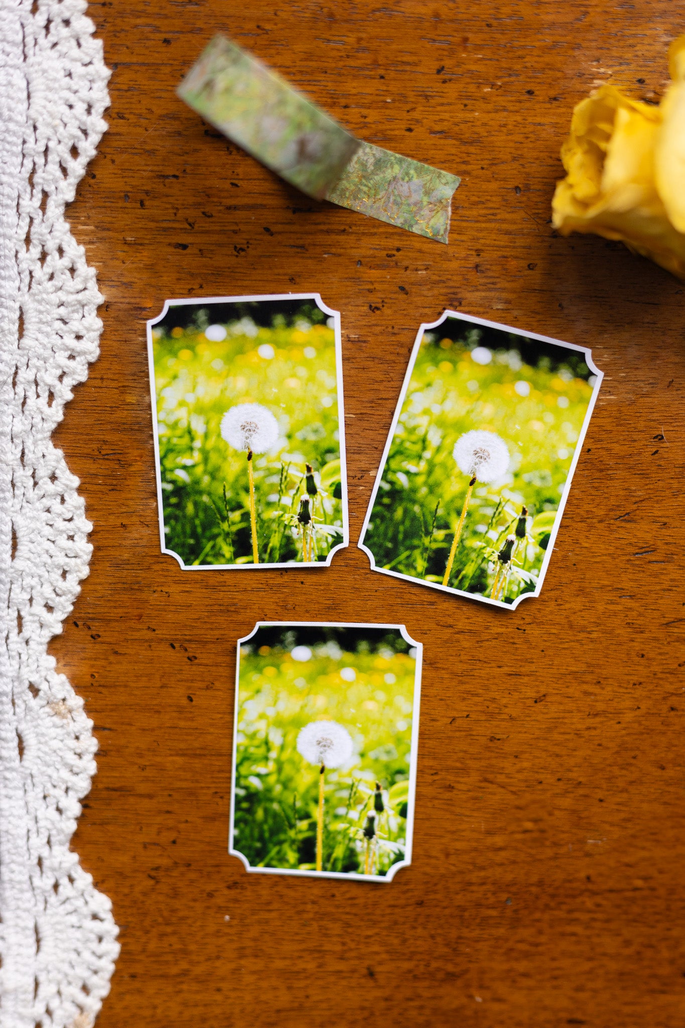 Dreamy Dandelion Sticker
