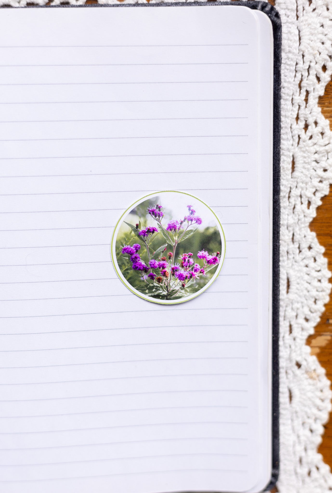Baldwin's Ironweed Sticker