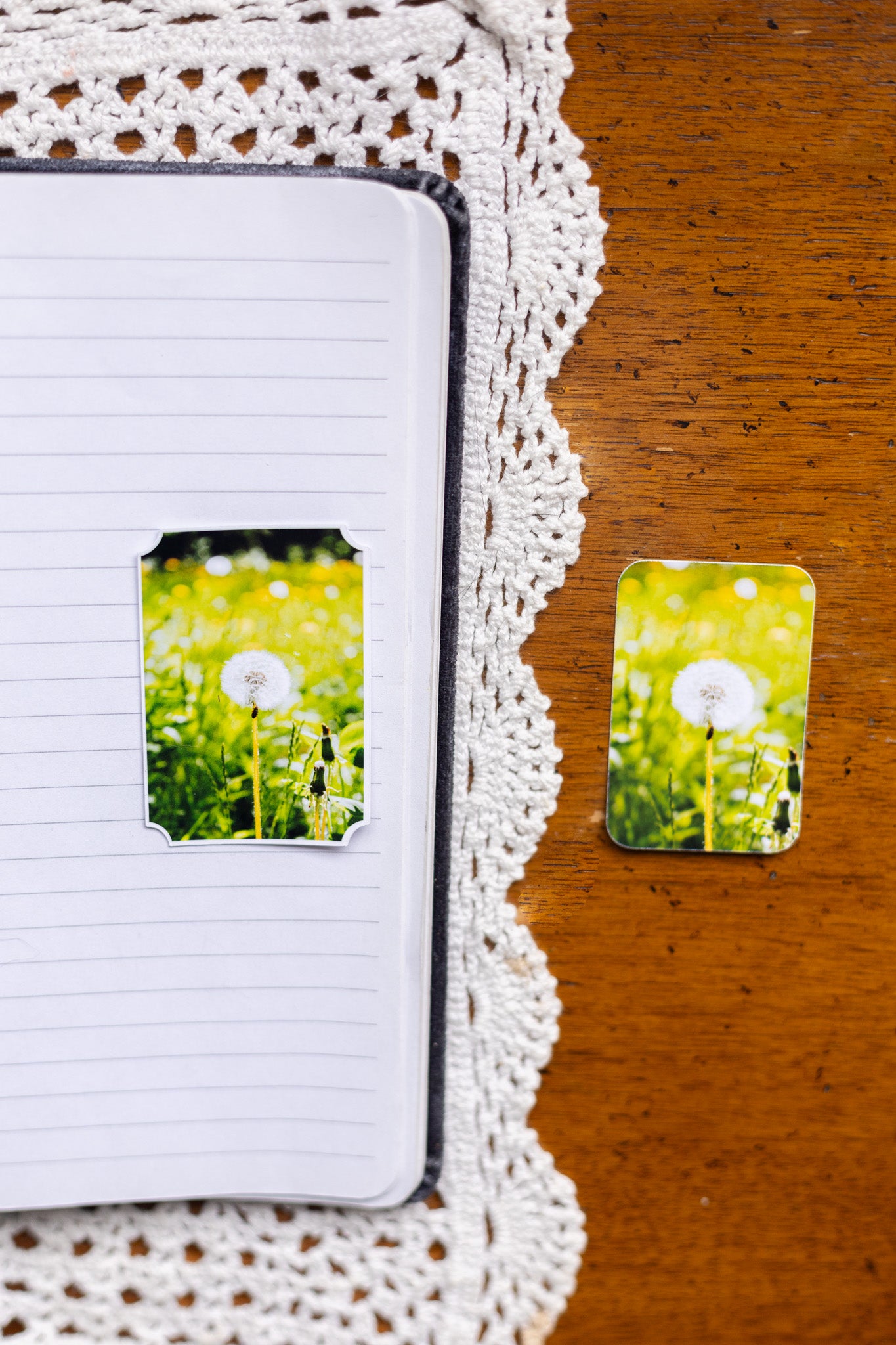 Dreamy Dandelion Sticker