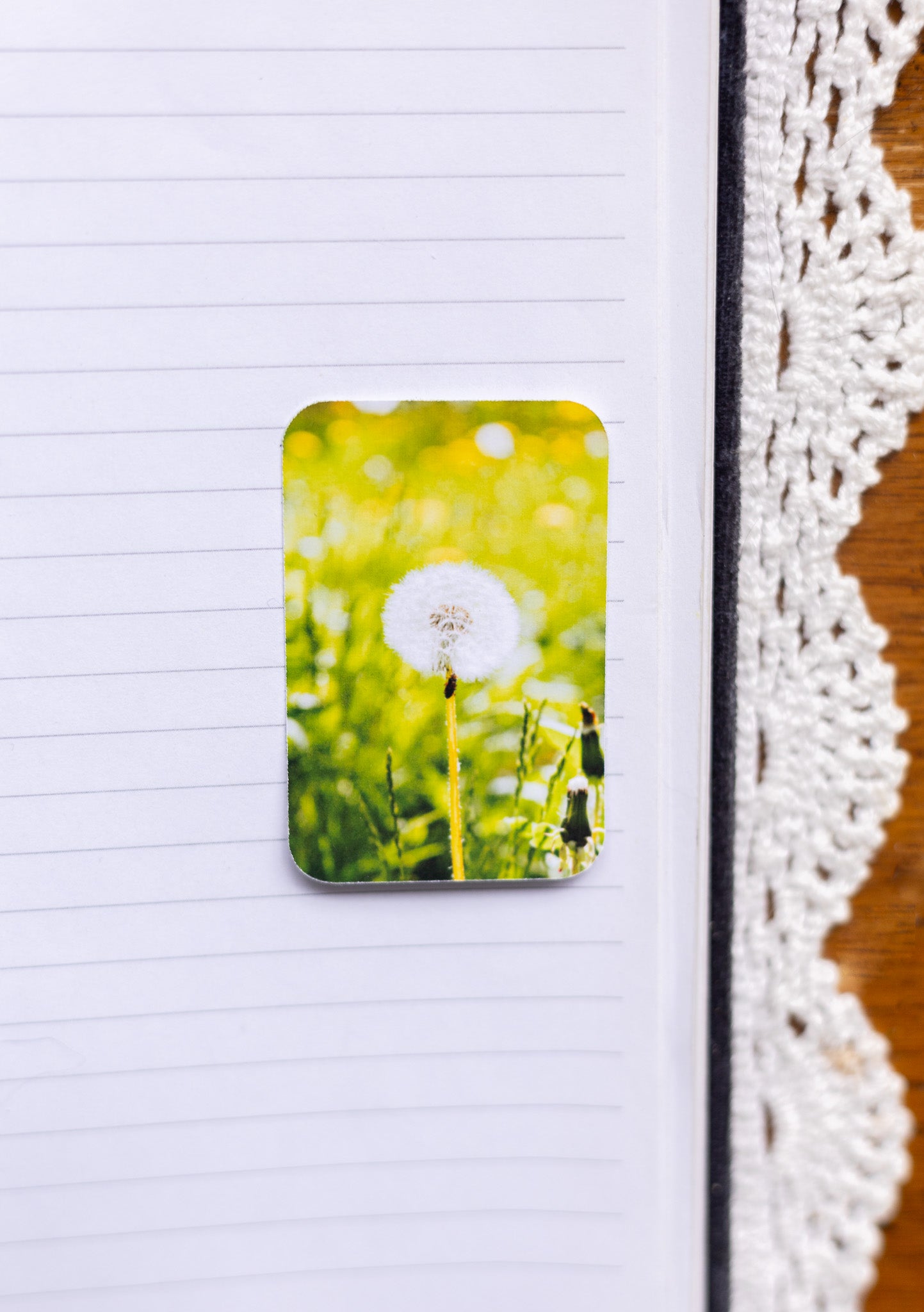 Dreamy Dandelion Sticker