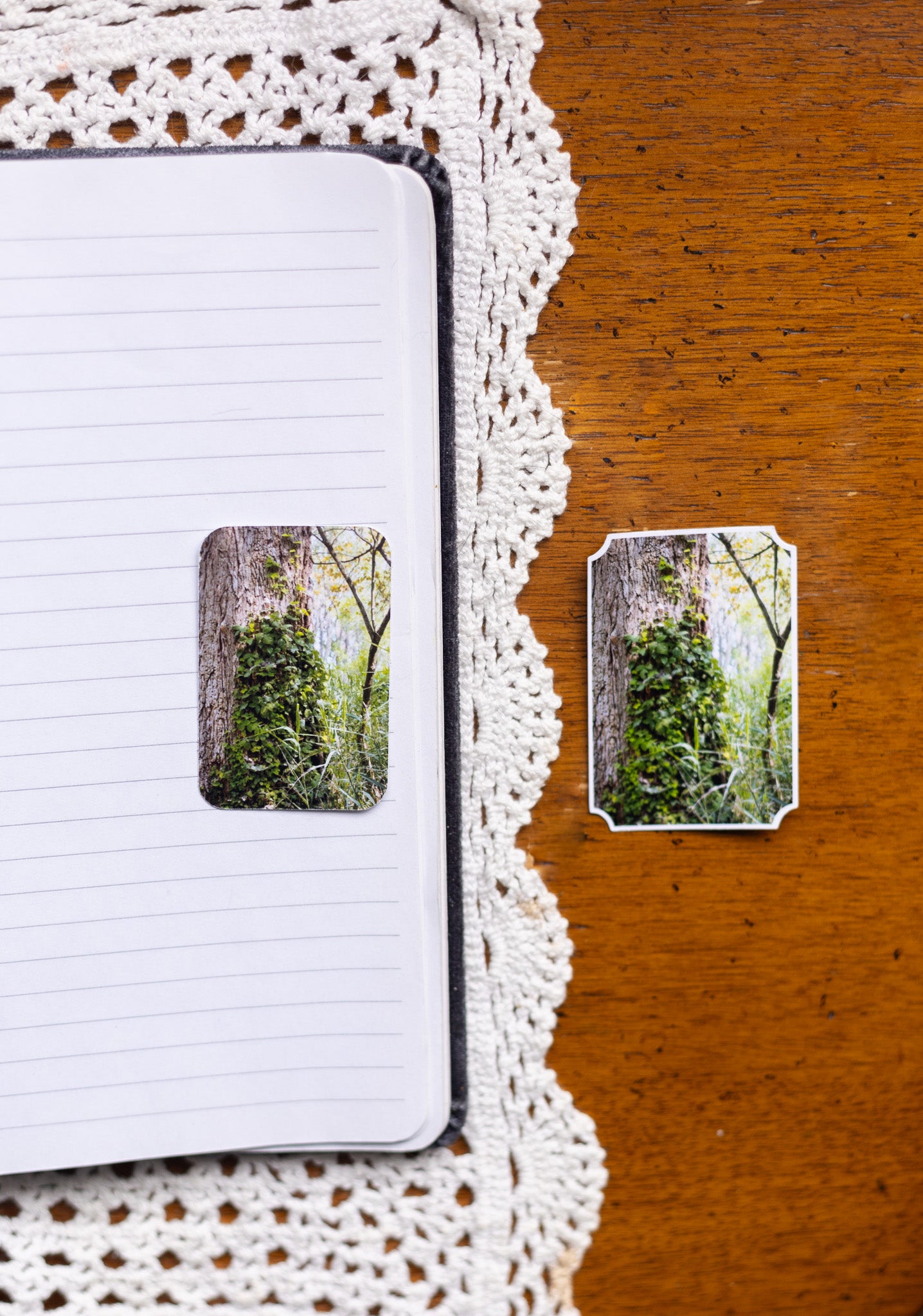 Woodland Ivy Sticker