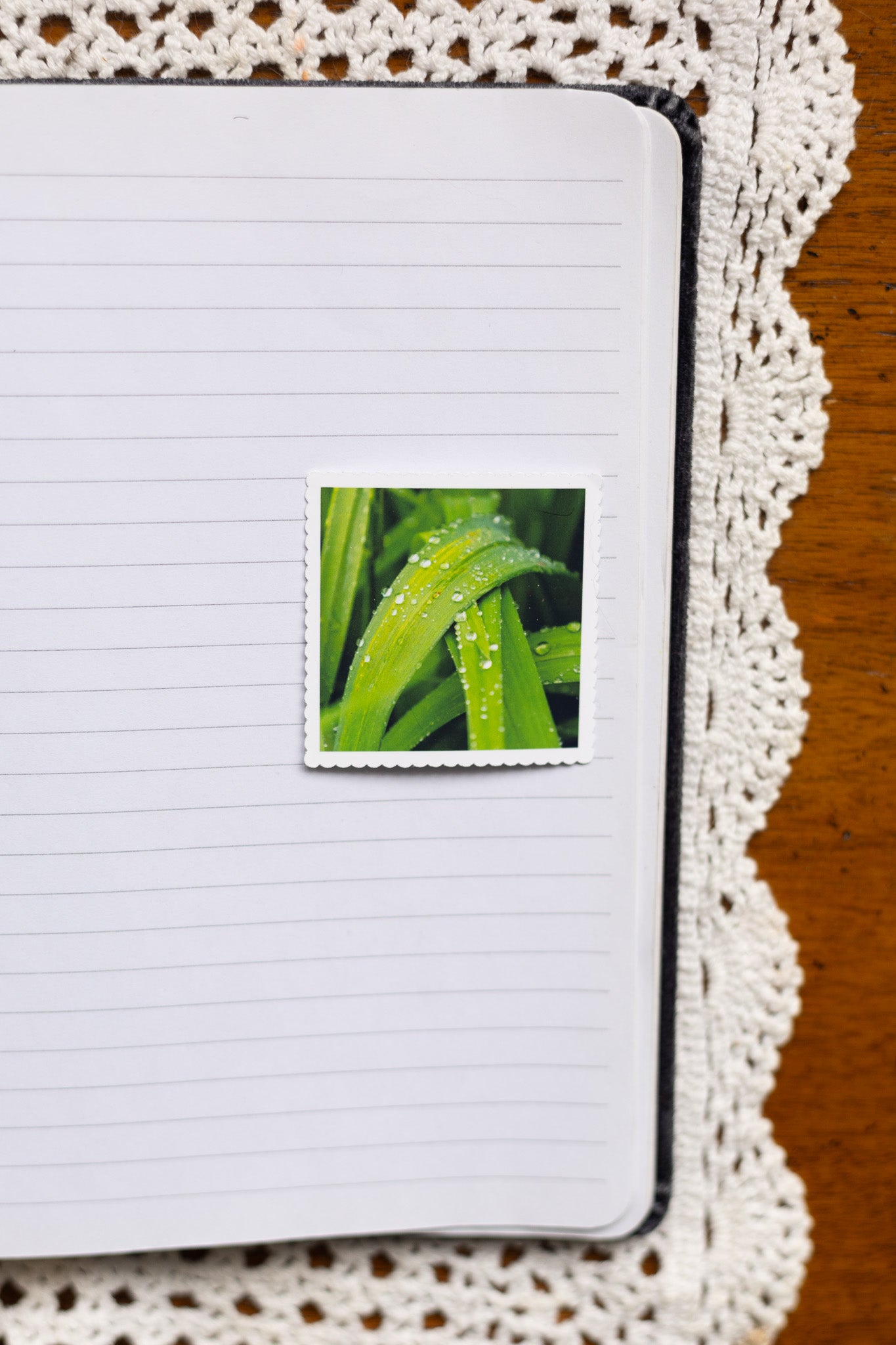 Morning Dew Sticker