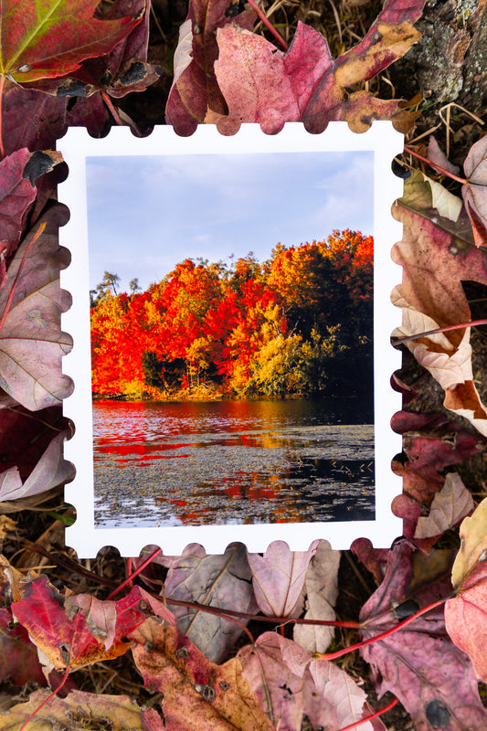 Perfect Autumn Day Print