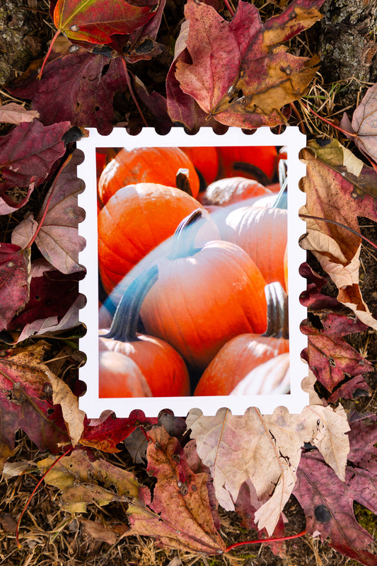 Pumpkin Patch Print