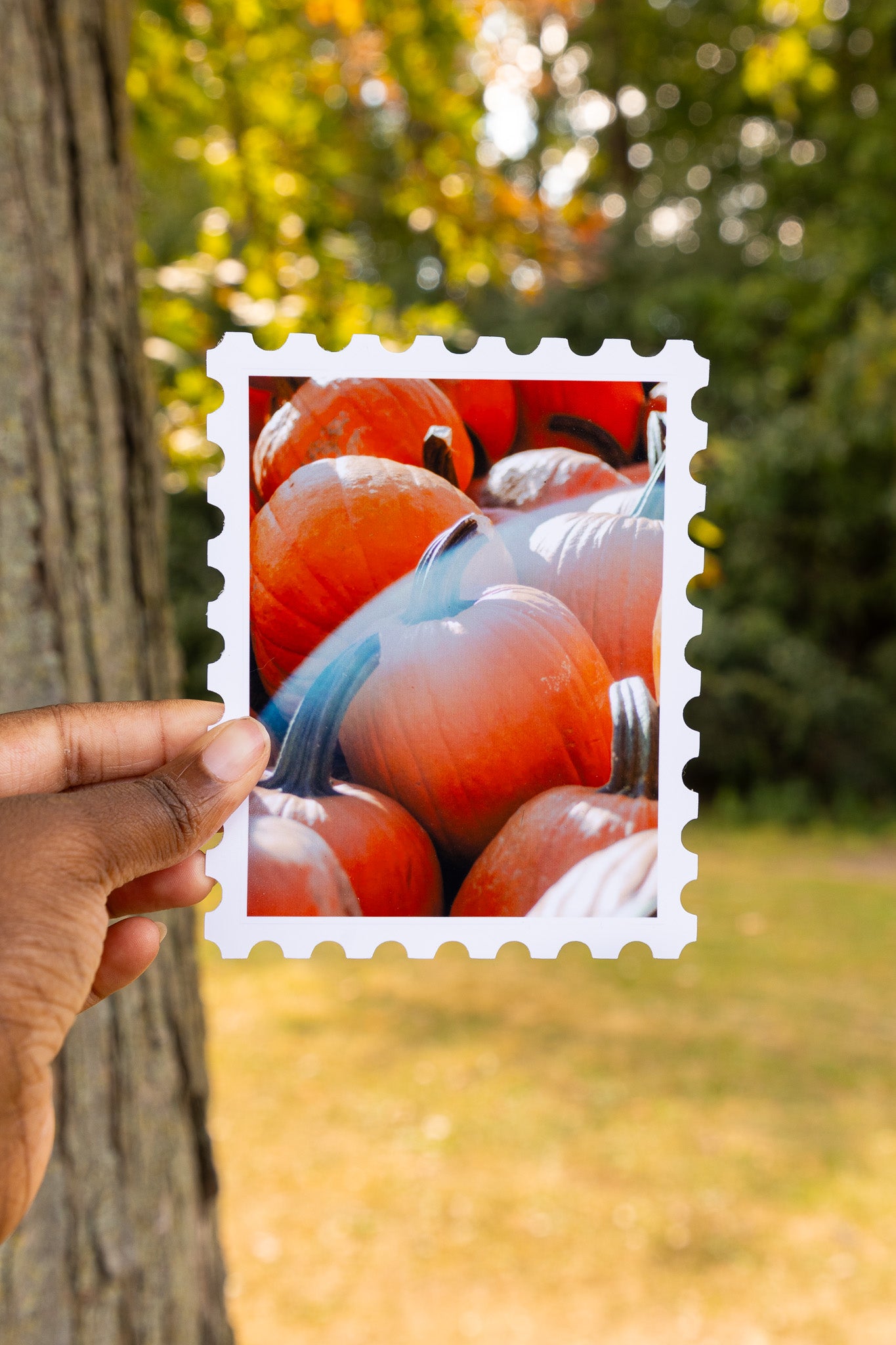 Pumpkin Patch Print