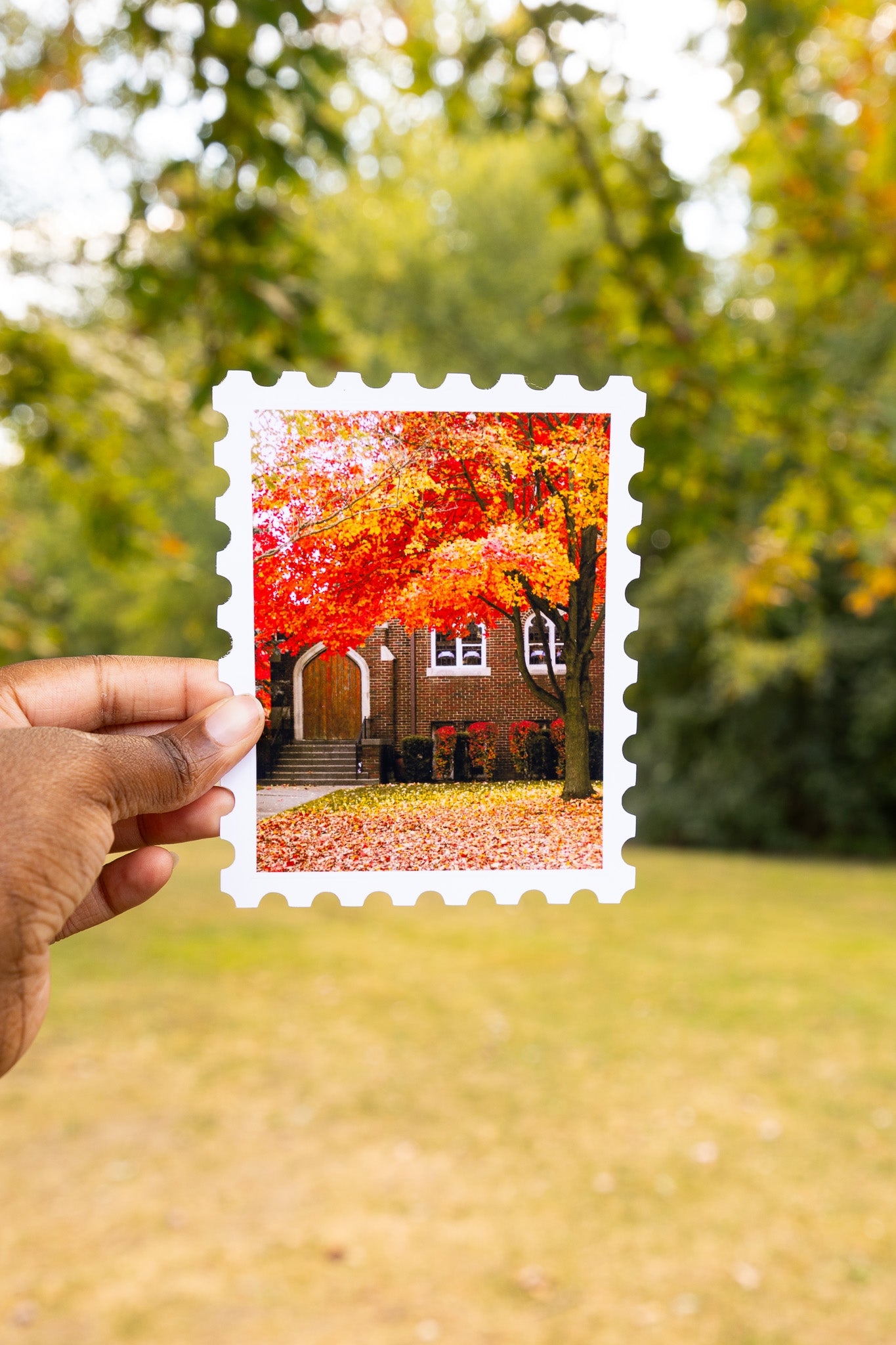 Pinnacle of Autumn Print