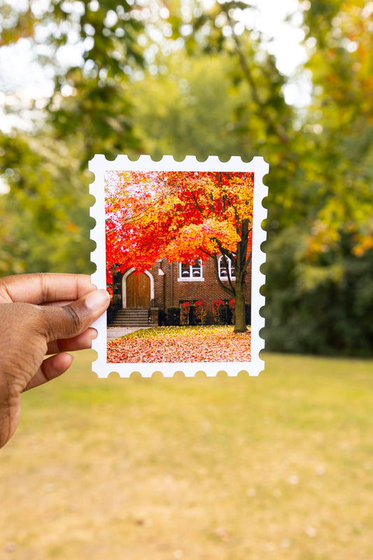 Pinnacle of Autumn Print