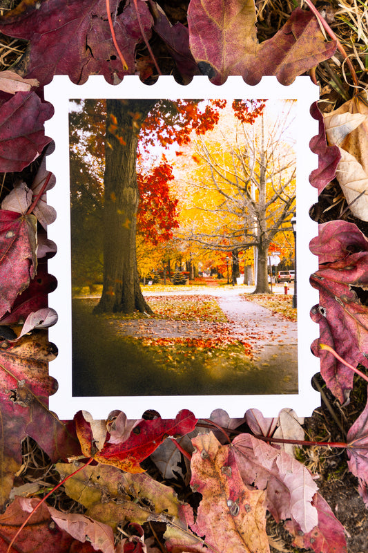 Flashbacks of Fall Print