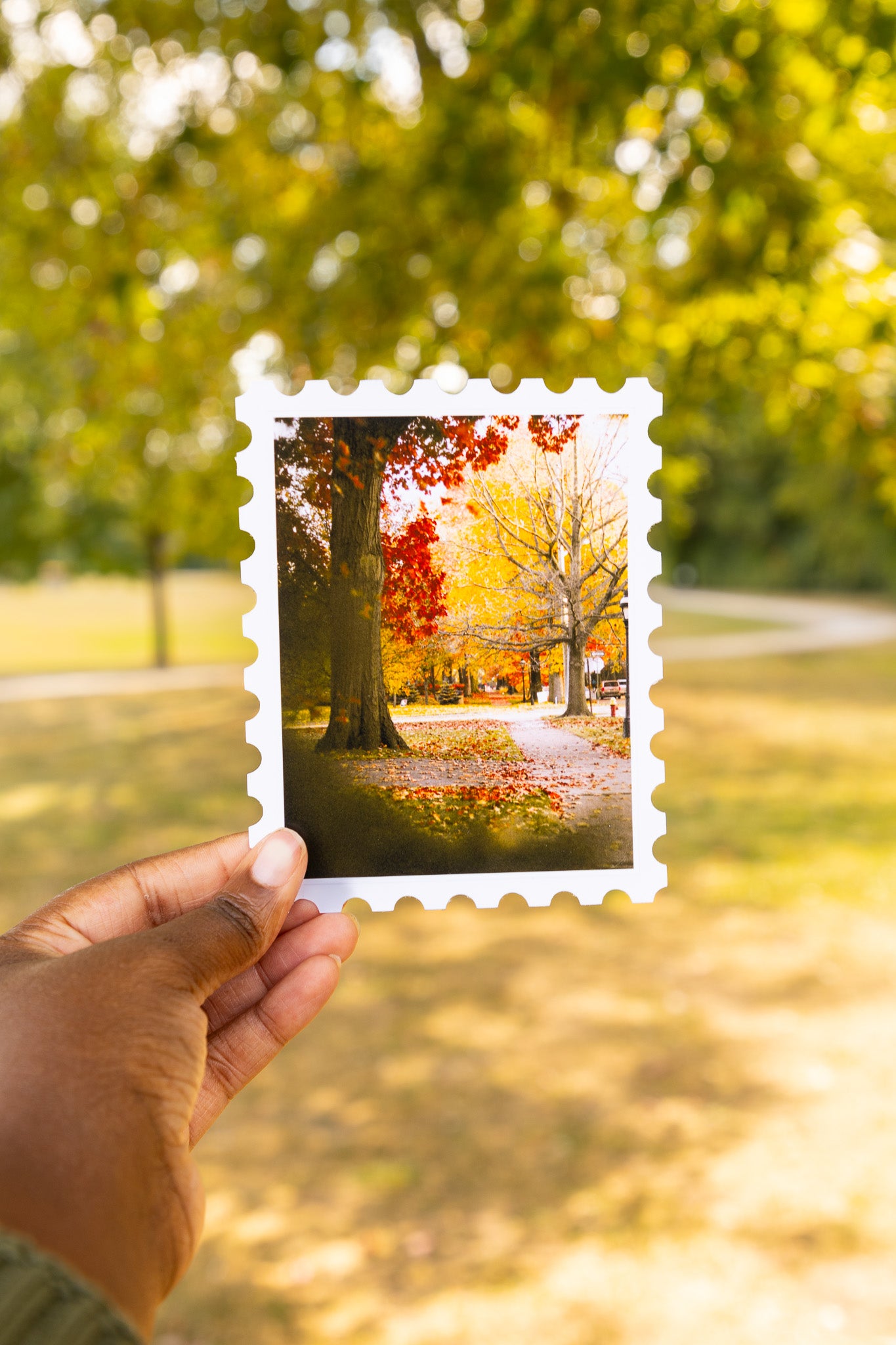 Flashbacks of Fall Print