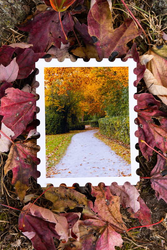 Charming Fall Trail Print