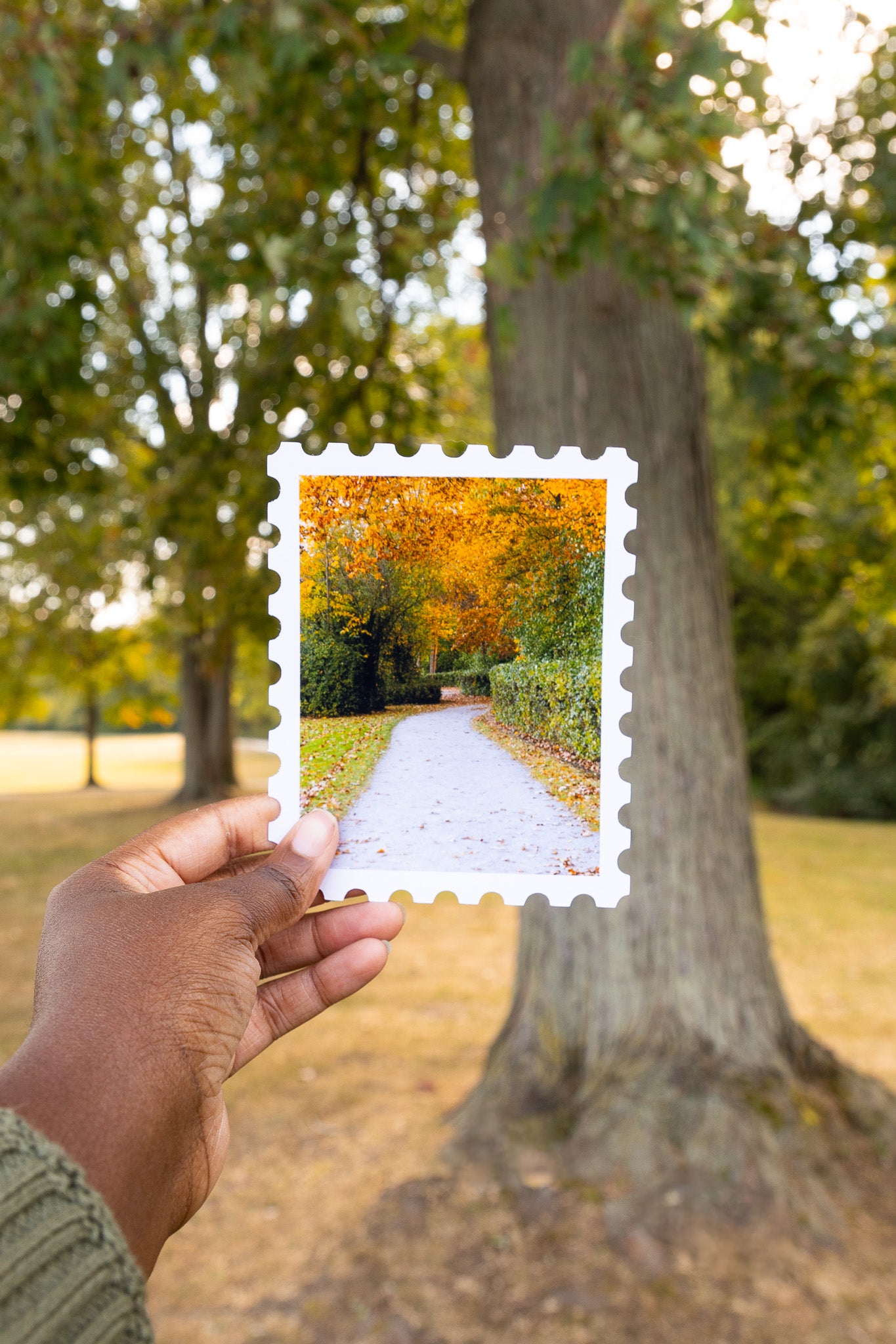 Charming Fall Trail Print