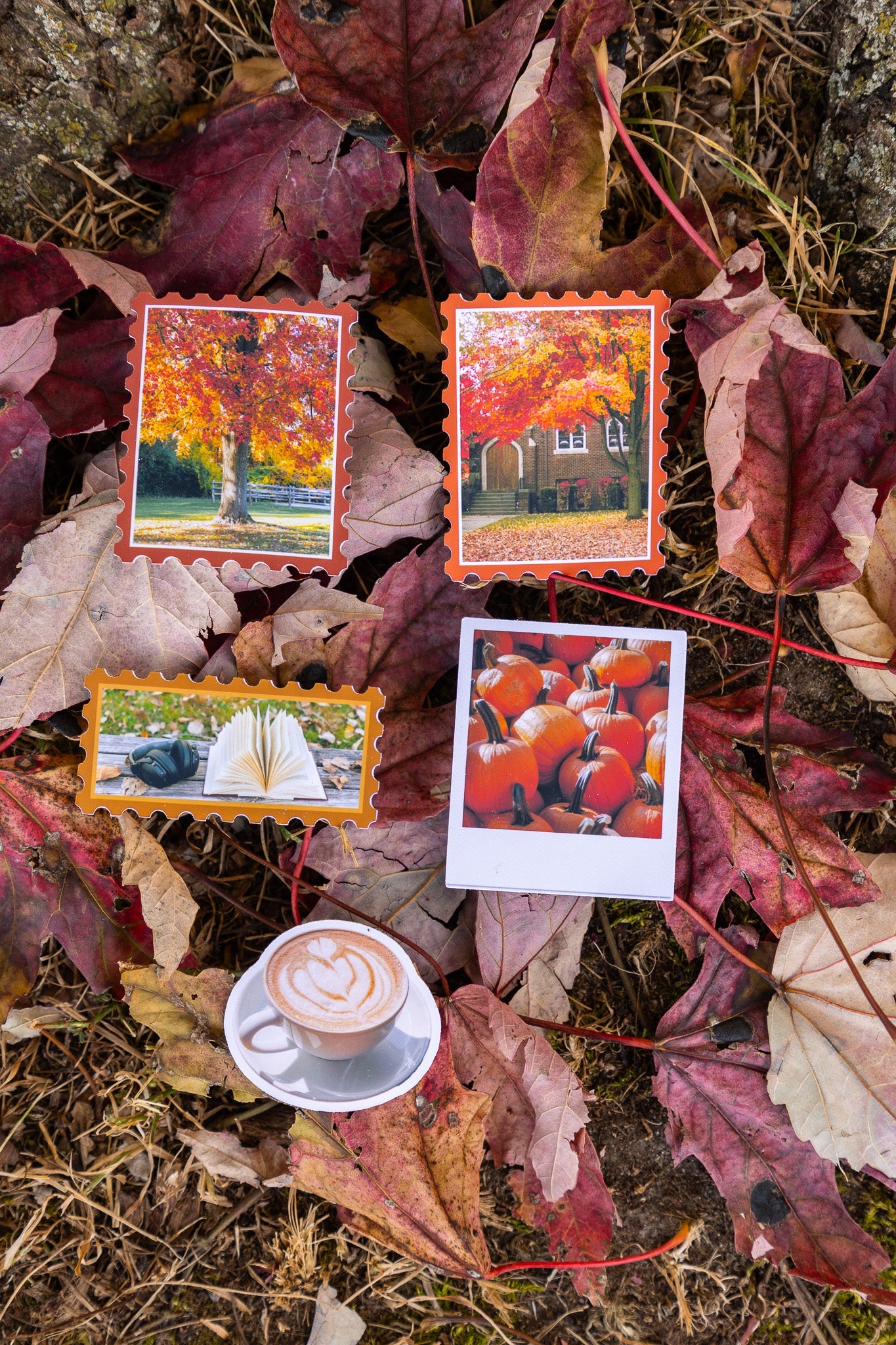 Pumpkin Polaroid Sticker