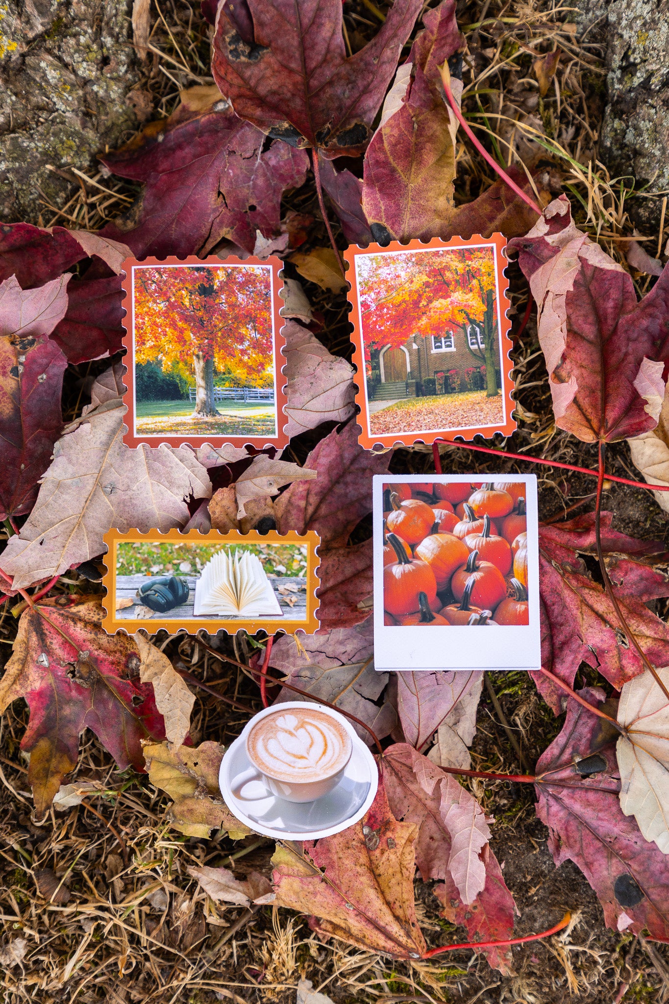 Pinnacle of Autumn Sticker