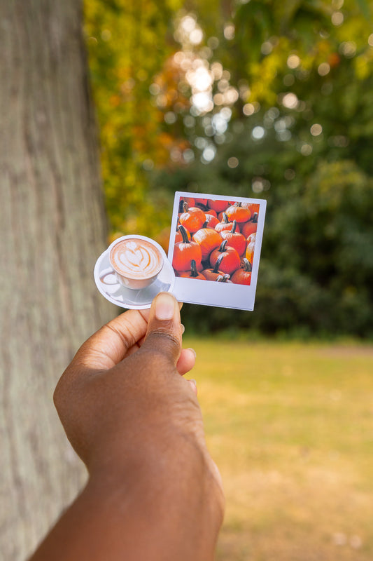 Pumpkin Polaroid Sticker