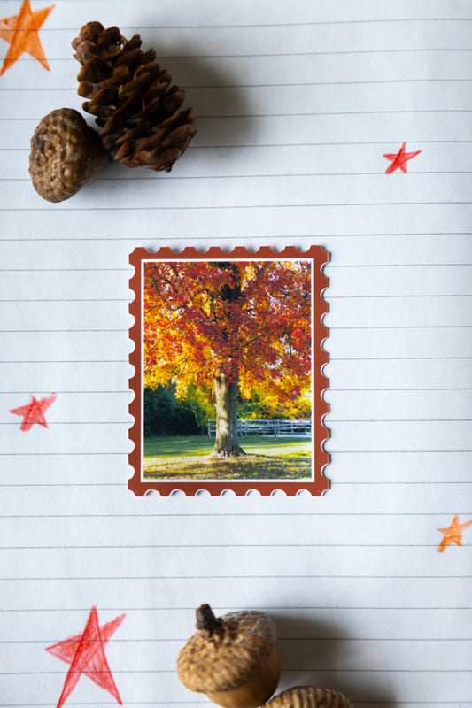Fall Foliage Sticker