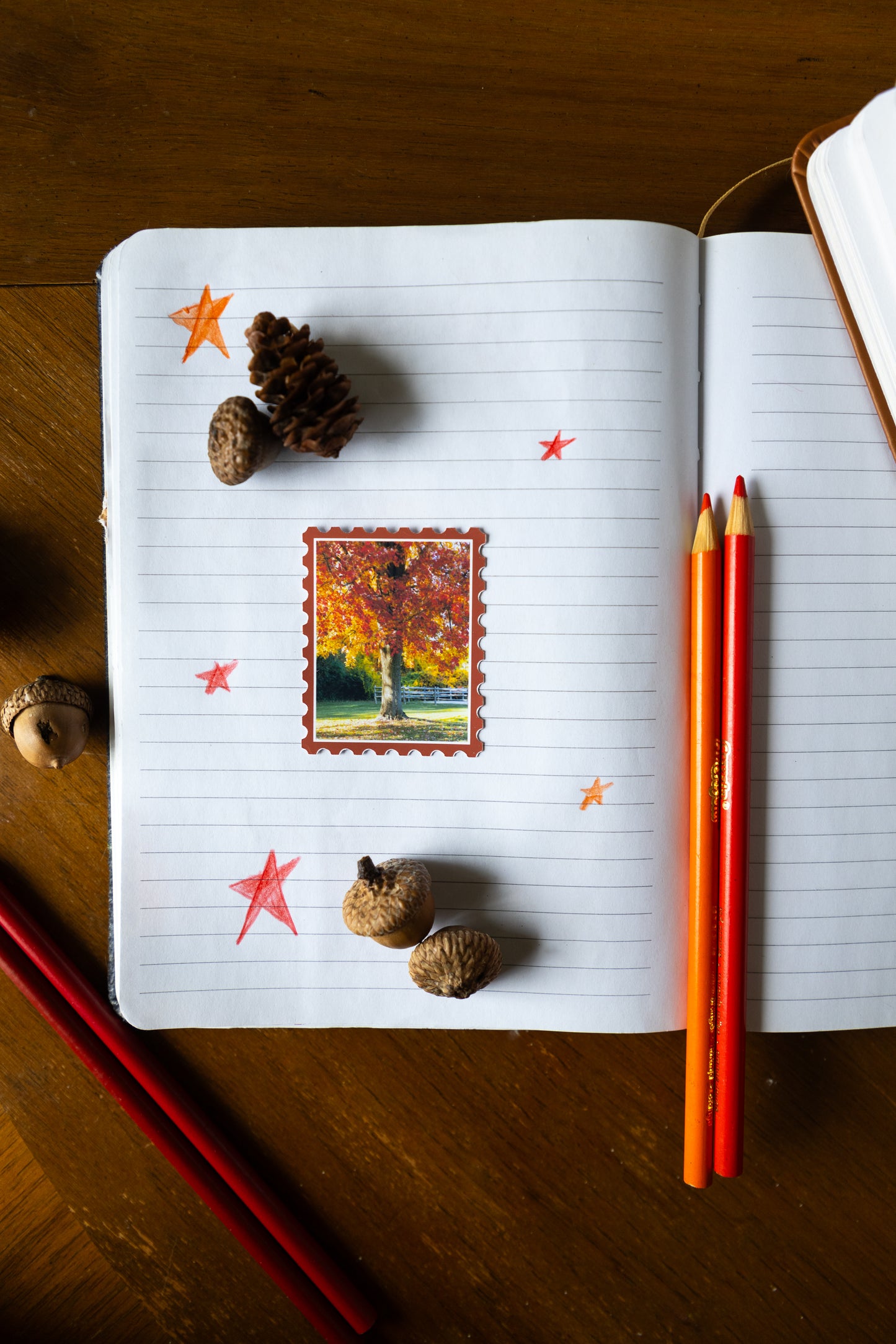 Fall Foliage Sticker