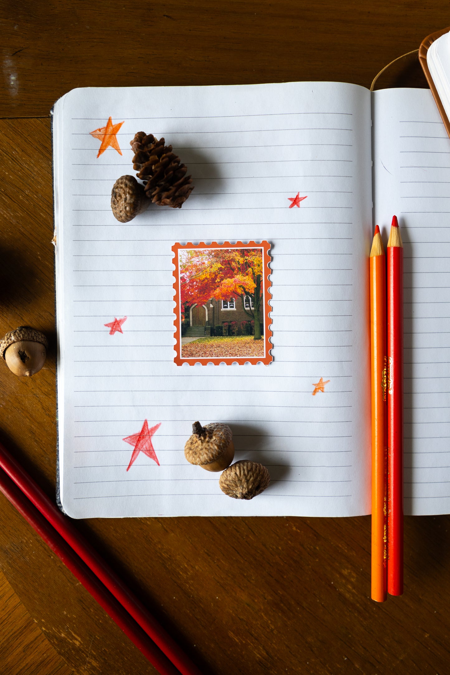 Pinnacle of Autumn Sticker