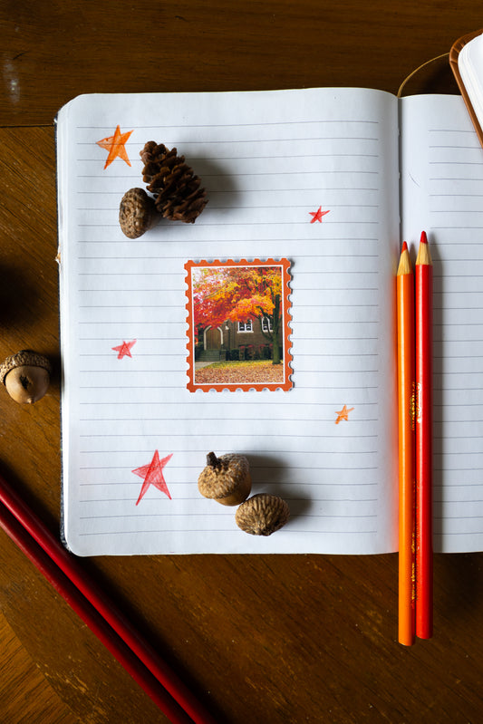Pinnacle of Autumn Sticker