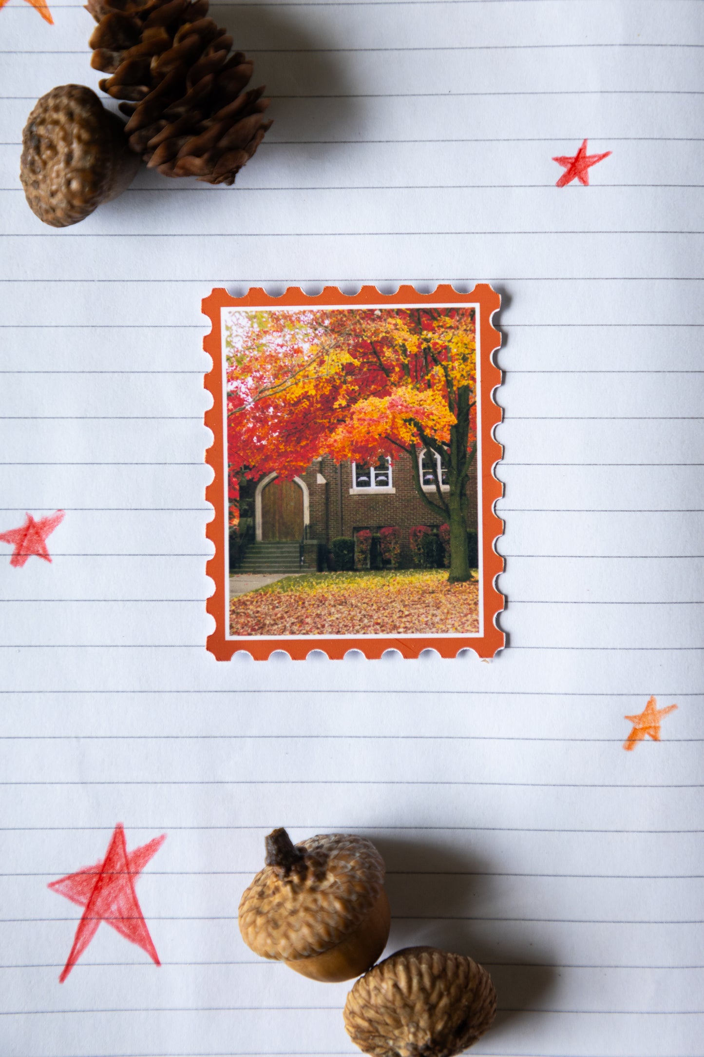 Pinnacle of Autumn Sticker
