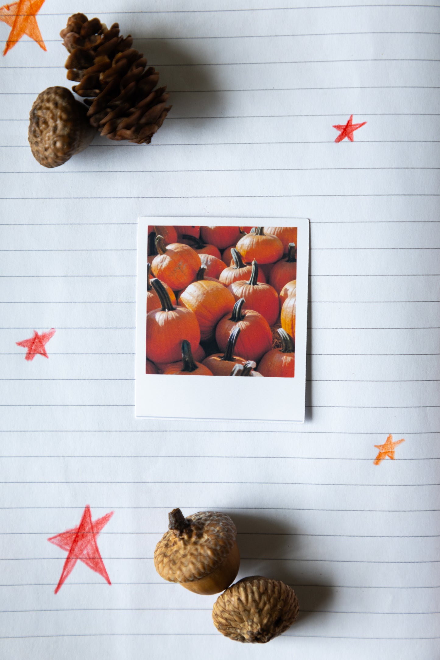Pumpkin Polaroid Sticker