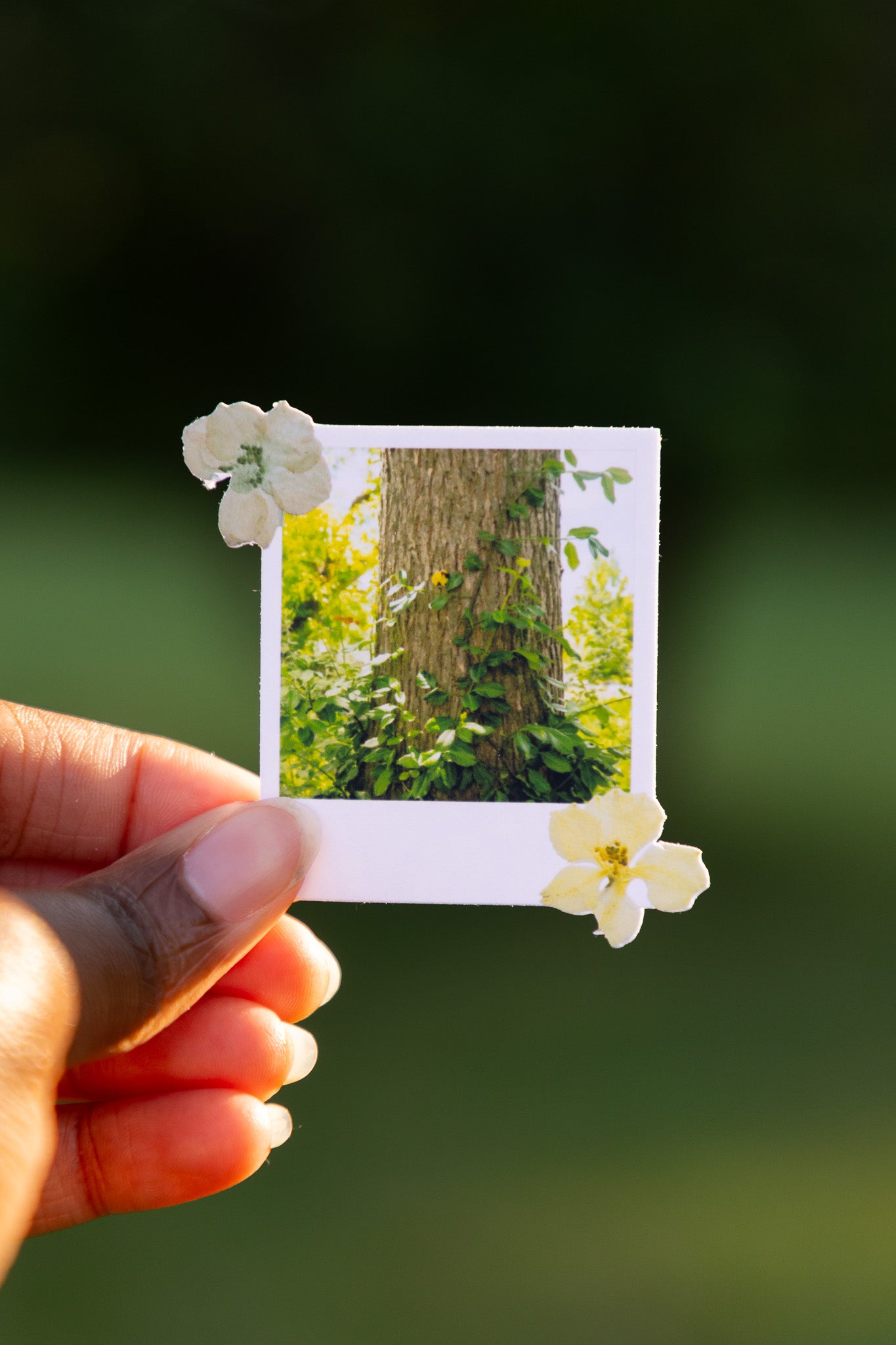 Nature Escape Polaroid Sticker