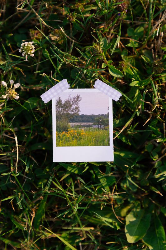 Idyllic Evening Polaroid Sticker